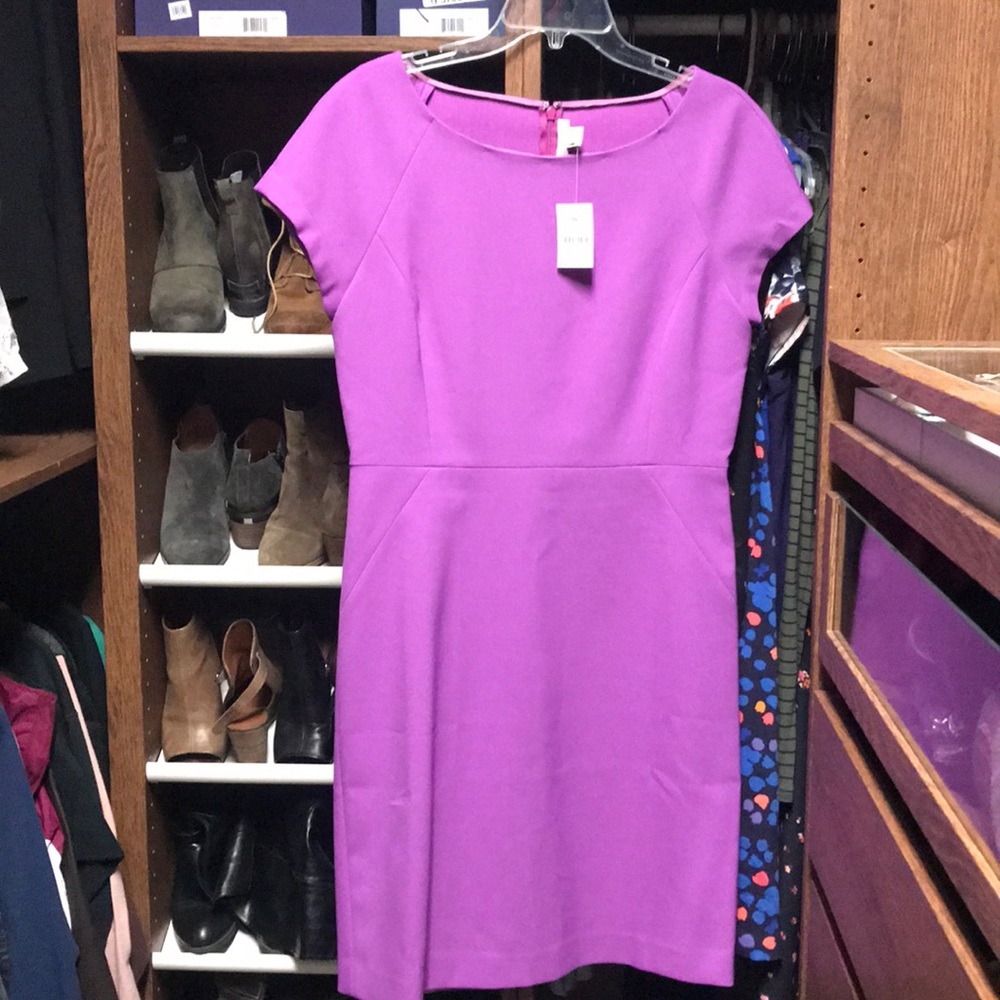 NWT J Crew sz10 dress